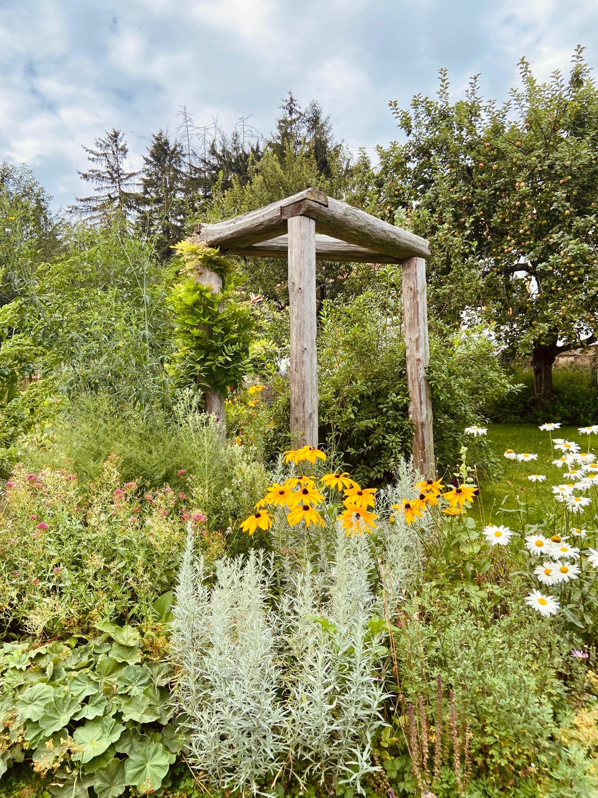 Dřevěná pergola s Rudbeckií